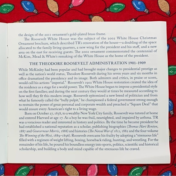 2011 White House Christmas Ornament. - Picture 11 of 16